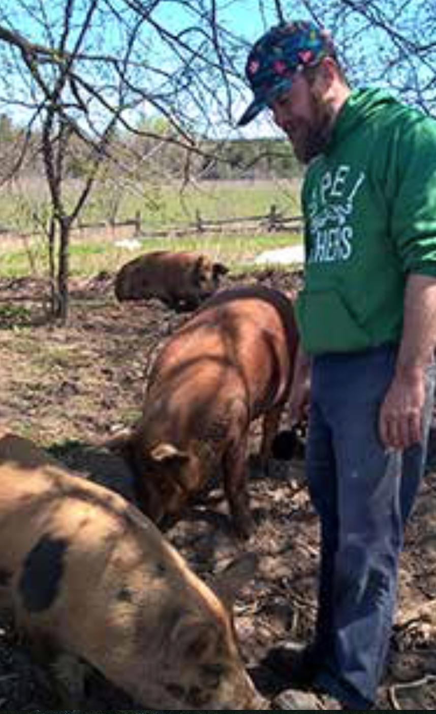 Not your traditional farmer: Tony Neale of Wheelbarrow Farm