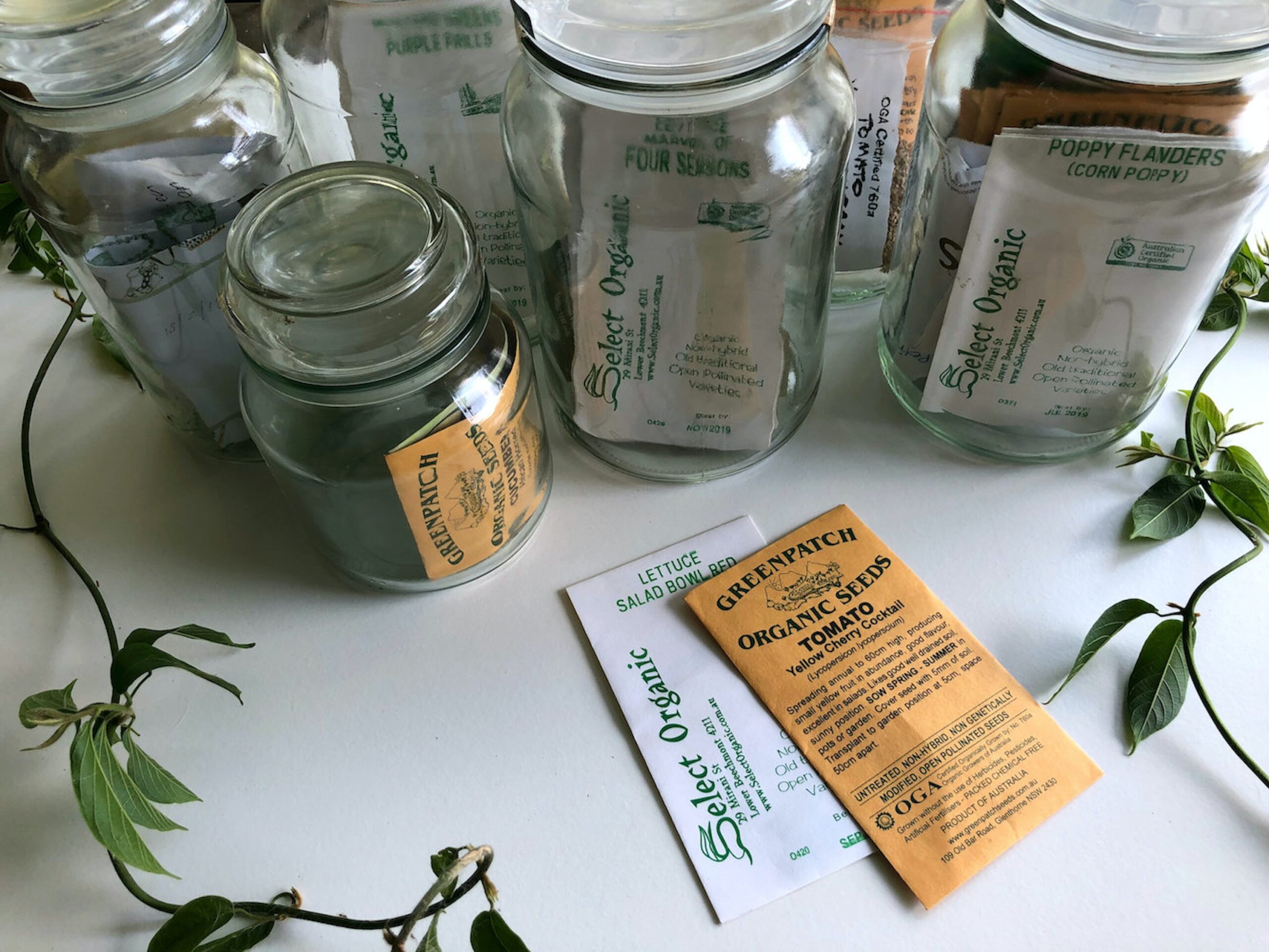 Seed Saving and the New Karma Seed Library!